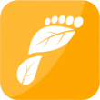 Reducing Your Carbon Footprint Reducing Your Carbon Footprint